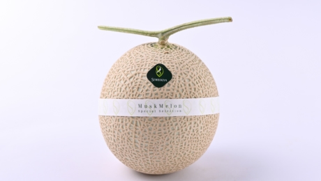 Dépasser ces jours extraordinaires : quand « l’abondance un cran au-dessus » donne de la joie de vivre au quotidien