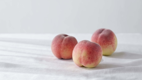 Sembikiya dévoile un nouveau logo de marque dans le but de devenir le magasin de fruits le plus populaire au monde.