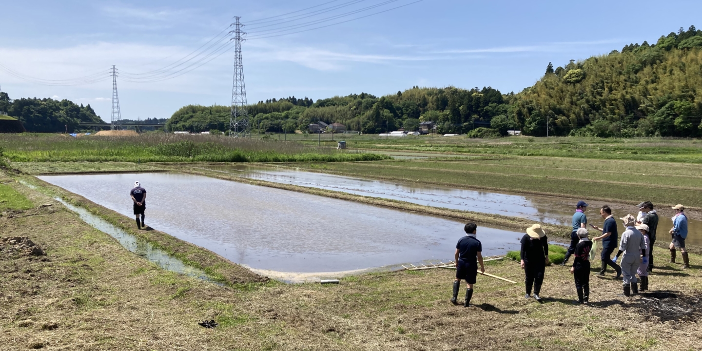 Eitaro Sohonpo : de la plantation du riz à la fabrication des wagashi