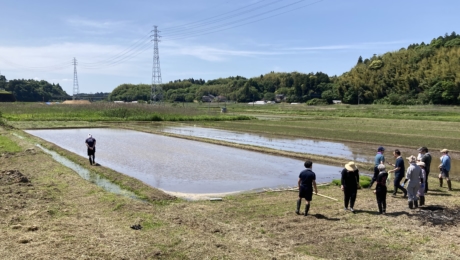 Eitaro Sohonpo : de la plantation du riz à la fabrication des wagashi