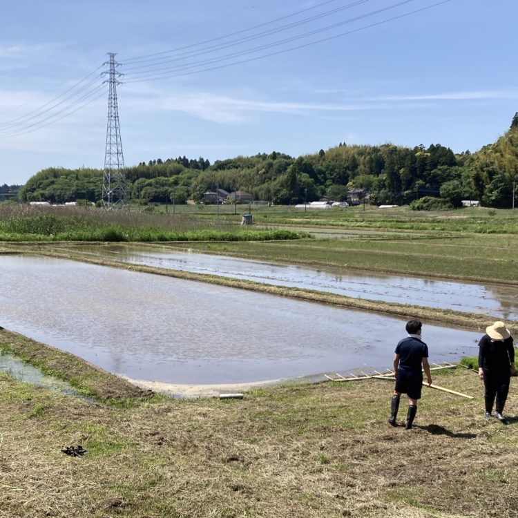 Eitaro Sohonpo : de la plantation du riz à la fabrication des wagashi