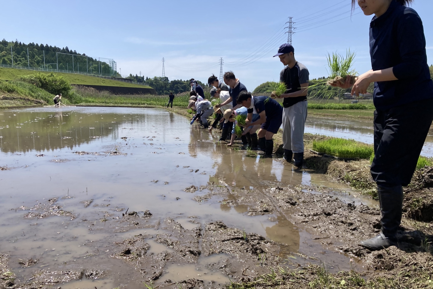 Eitaro Sohonpo : de la plantation du riz à la fabrication des wagashi