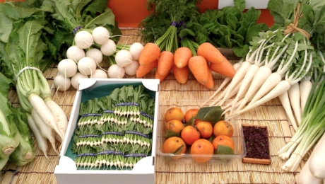 Saveurs traditionnelles et diversité culinaire : les leçons des légumes Edo Tokyo