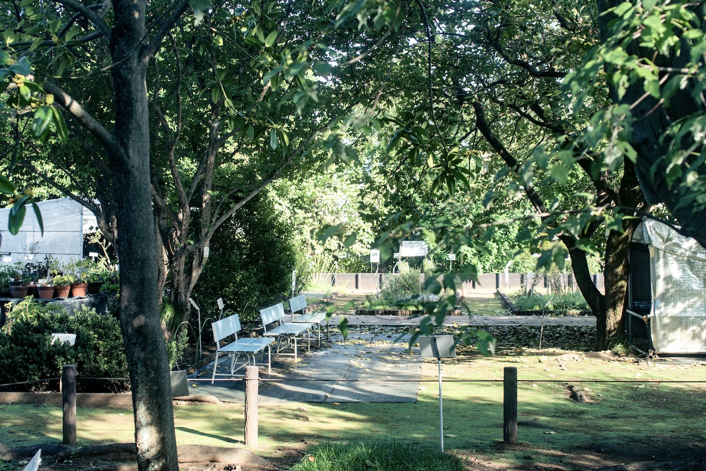 [Le Jardin des plantes médicinales de la métropole de Tokyo] Trouver une vocation dans un paradis naturel ouvert 365 jours par an