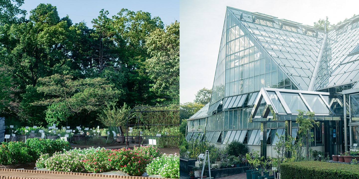 [Le Jardin des plantes médicinales de la métropole de Tokyo] Trouver une vocation dans un paradis naturel ouvert 365 jours par an